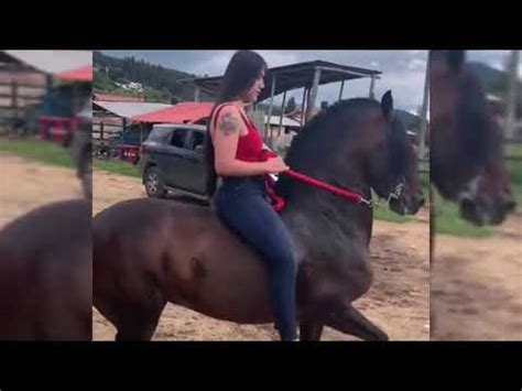 shemale riding compilation|Shemales Riding Compilation Porn Videos 